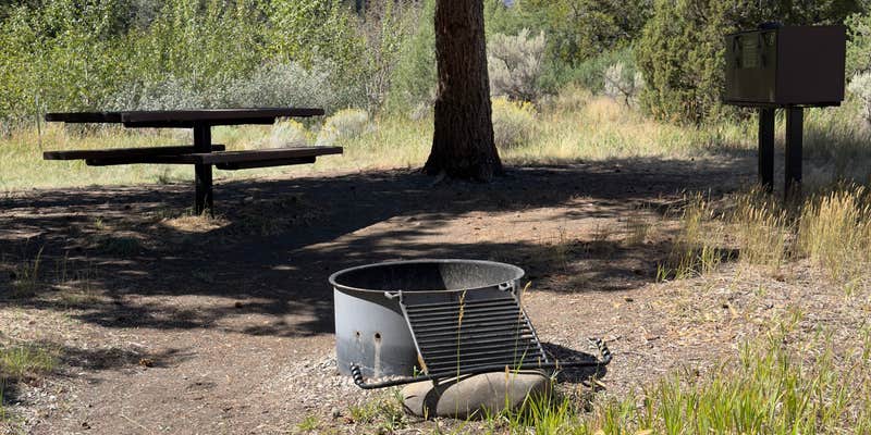 Camper submitted image from Clearwater Campground Cody Wyoming
