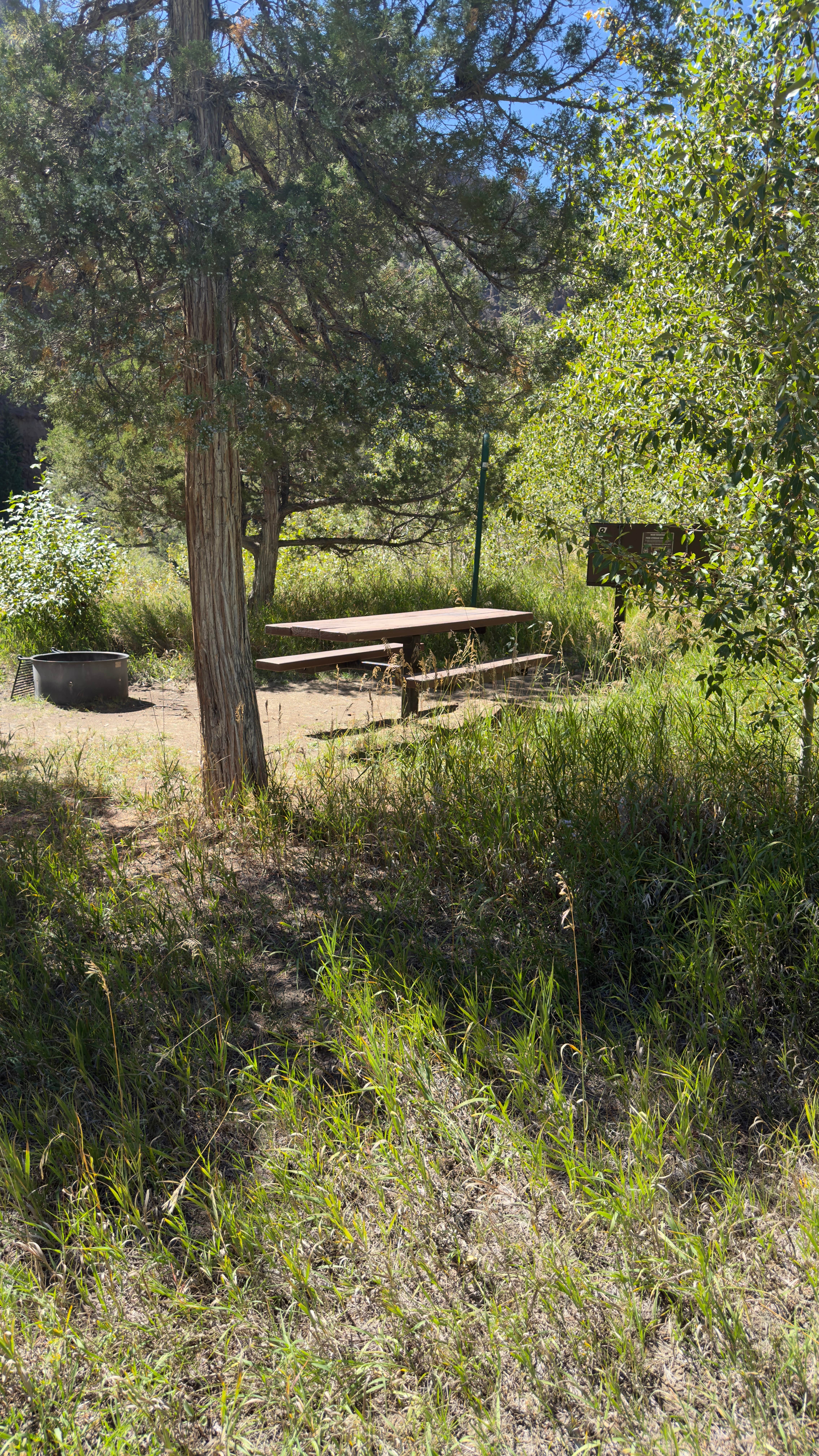 Camper-submitted photo at Clearwater Campground Cody Wyoming near Shoshone National Forest