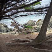 Review photo of Mackerricher State Park Campground by Glen B., August 30, 2026