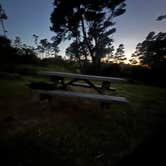 Review photo of Mackerricher State Park Campground by Emily M., May 14, 2026