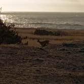 Review photo of Mackerricher State Park Campground by Glen B., August 30, 2026