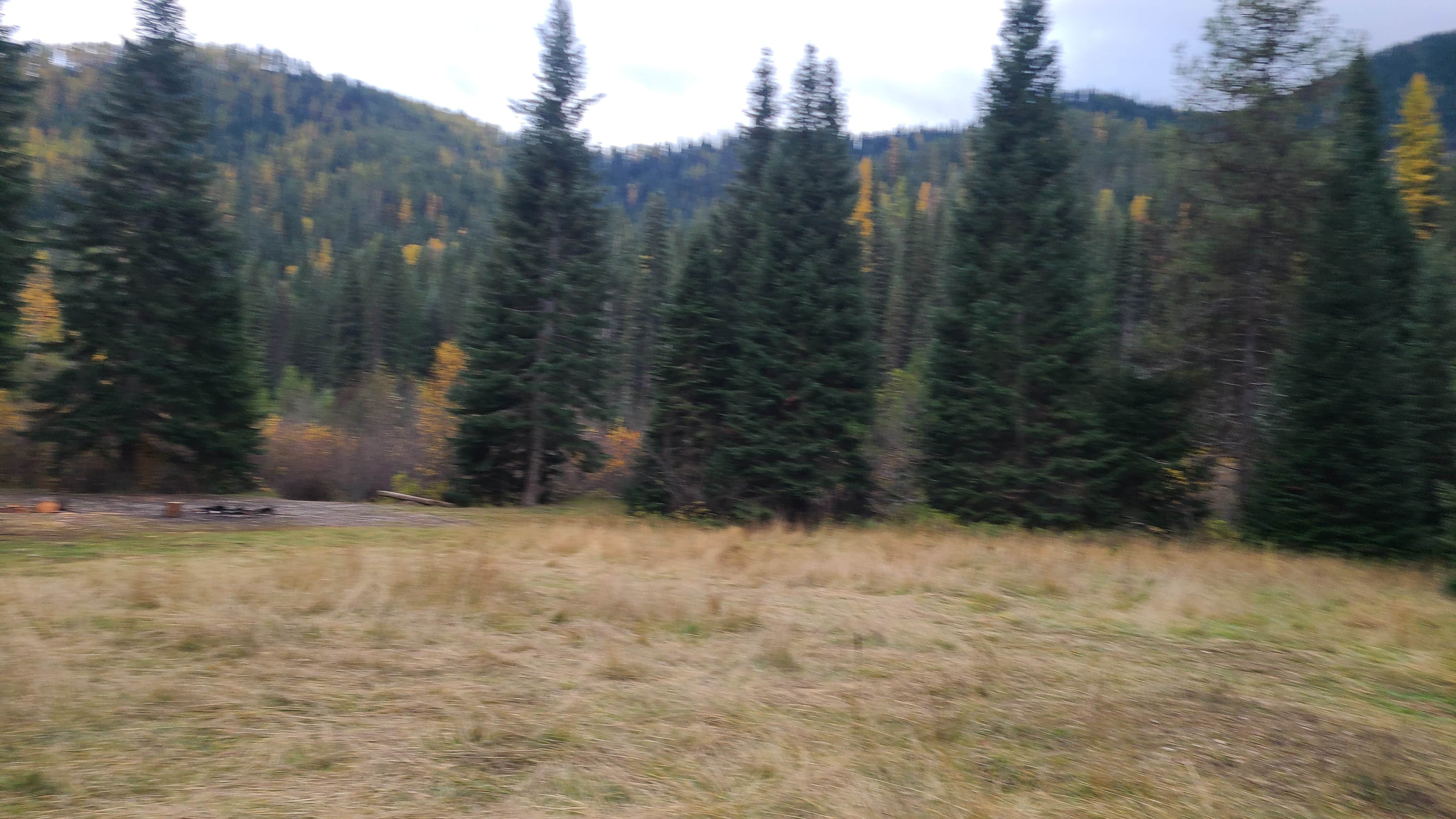 Camping near Wallace RV Park: Cliff Creek Campground Primitive Dispersed, Saltese, Idaho