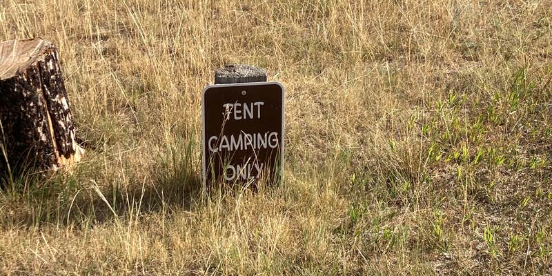 Camper submitted image from Cliff Swallow