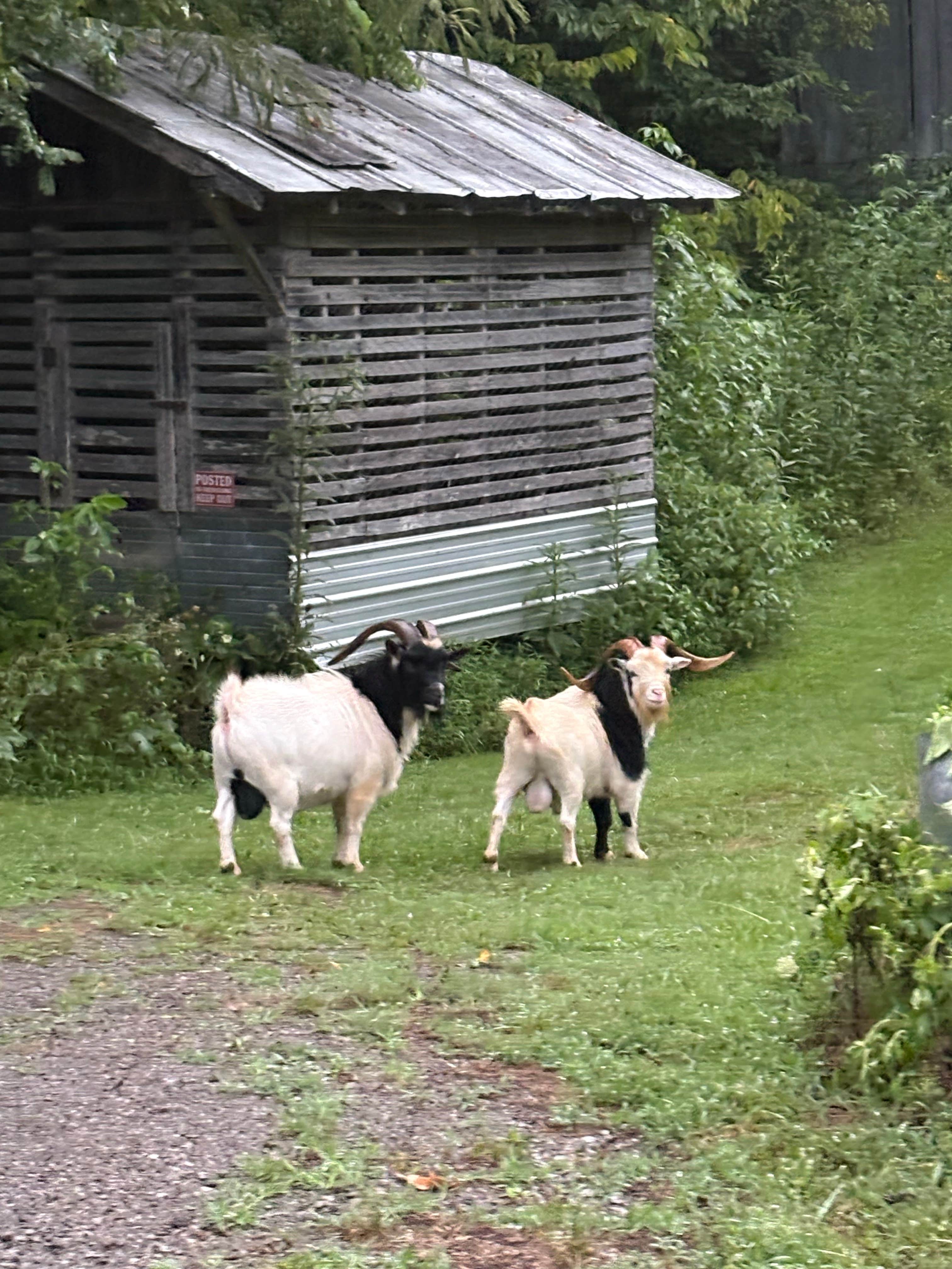 Camper-submitted photo at Clinch River Family Campground near Cumberland, KY