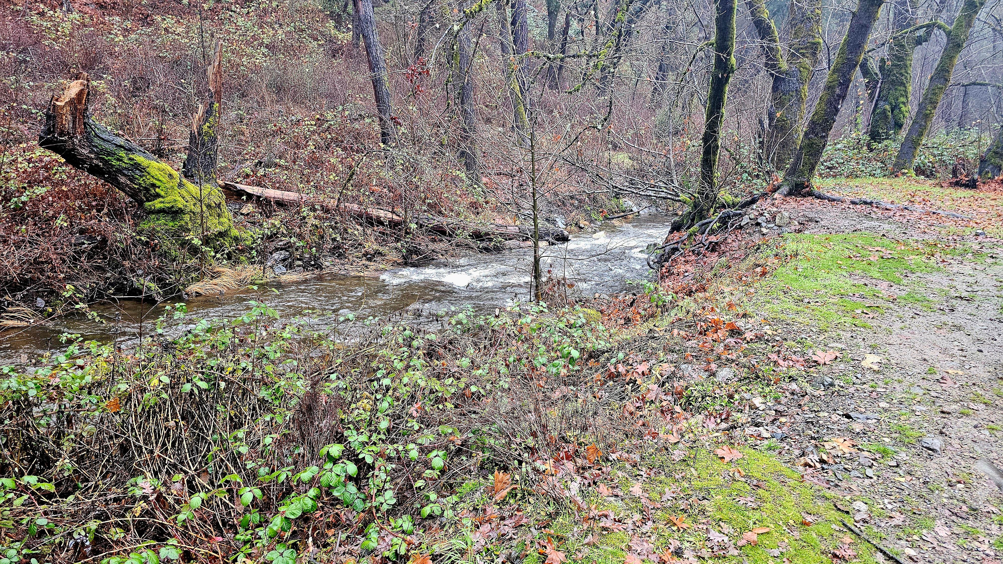 Cline Gulch BLM Dispersed