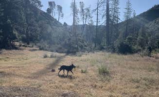 Grant M.'s photo of a dispersed camping area at Cline Gulch BLM Dispersed near Castella, CA
