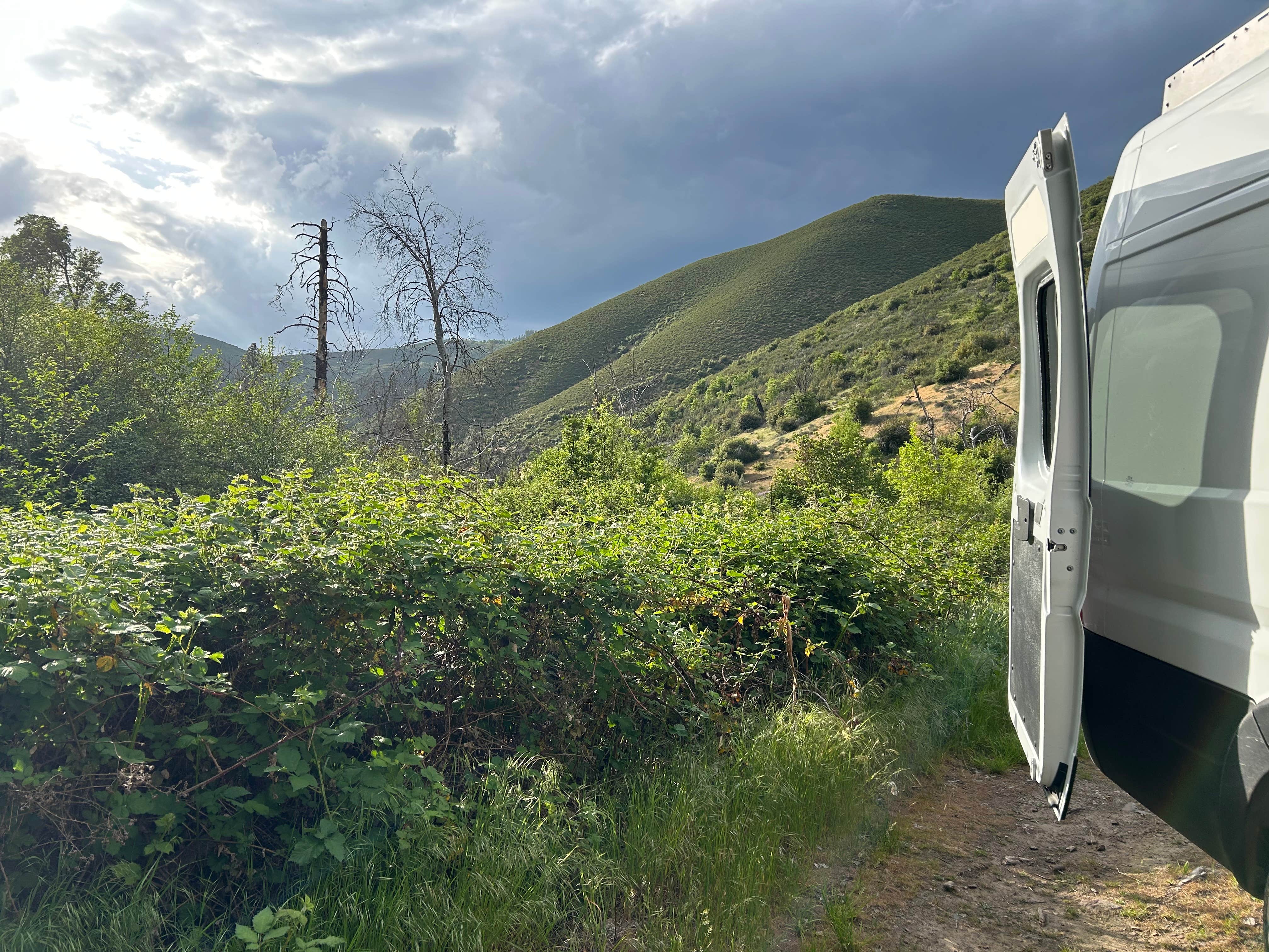 Camper-submitted photo at Cline Gulch BLM Dispersed near French Gulch, CA