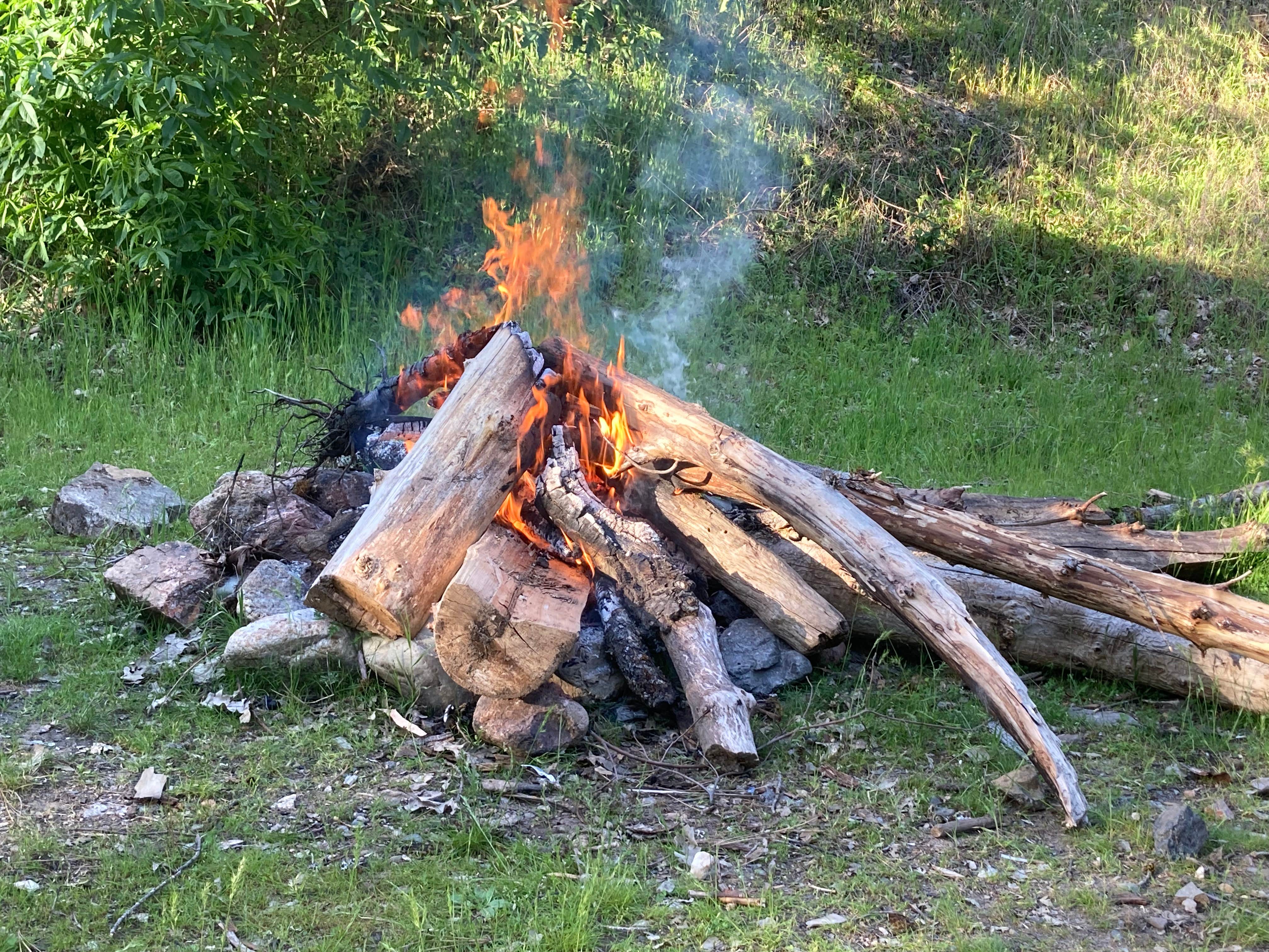 Camper-submitted photo at Cline Gulch BLM Dispersed near French Gulch, CA