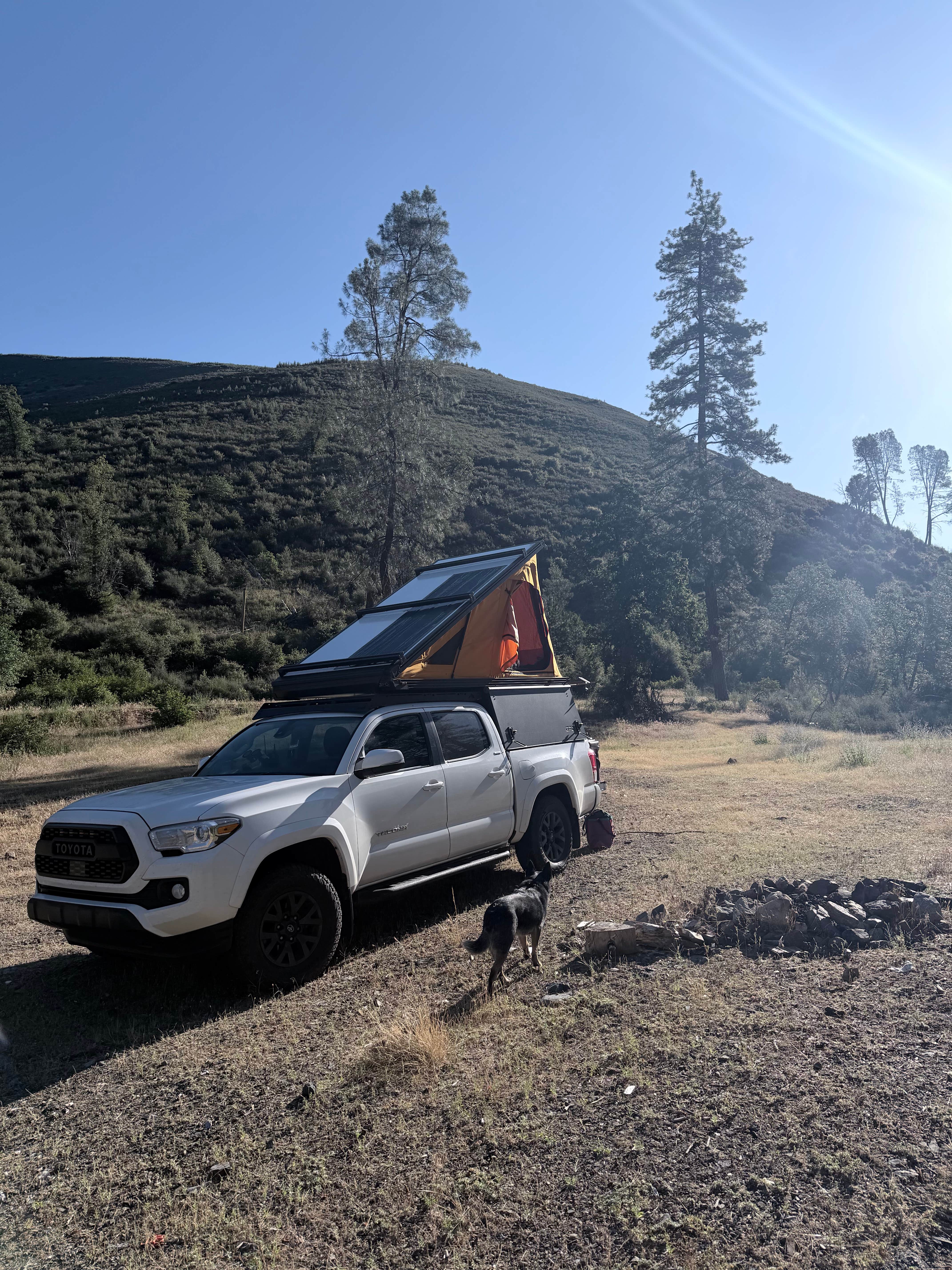 Grant M.'s photo of camping with pets at Cline Gulch BLM Dispersed near Whiskeytown National Recreation Area