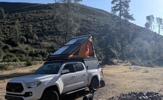 Grant M.'s photo of camping with pets at Cline Gulch BLM Dispersed near Shasta Lake, CA