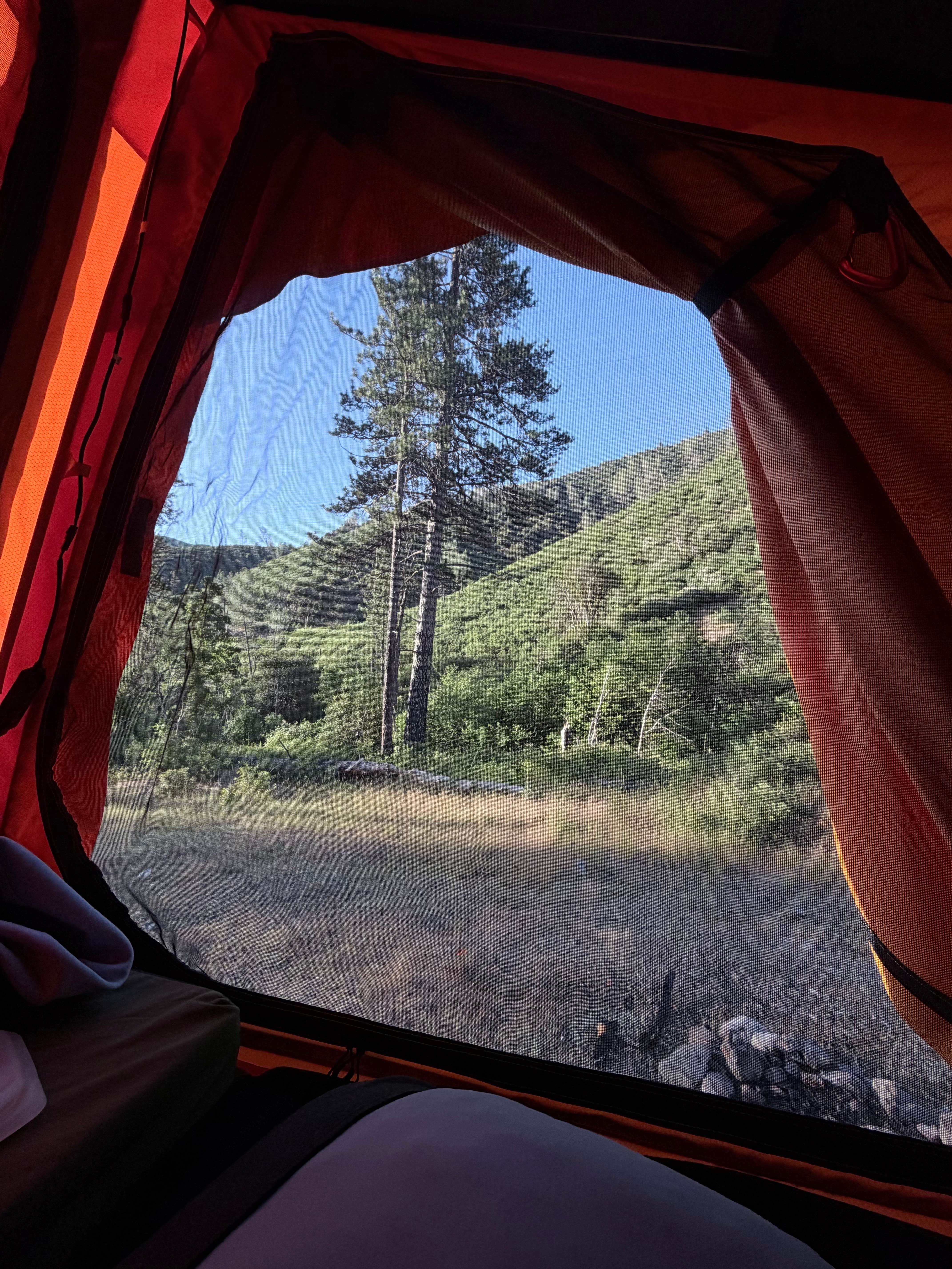 Camper-submitted photo at Cline Gulch BLM Dispersed near Whiskeytown, CA