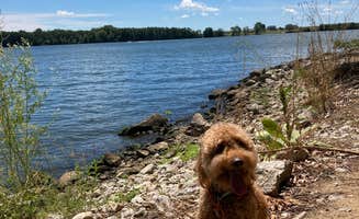 Linda N.'s photo of camping with pets at Clinton Lake State Recreation Area near Blue Mound, IL