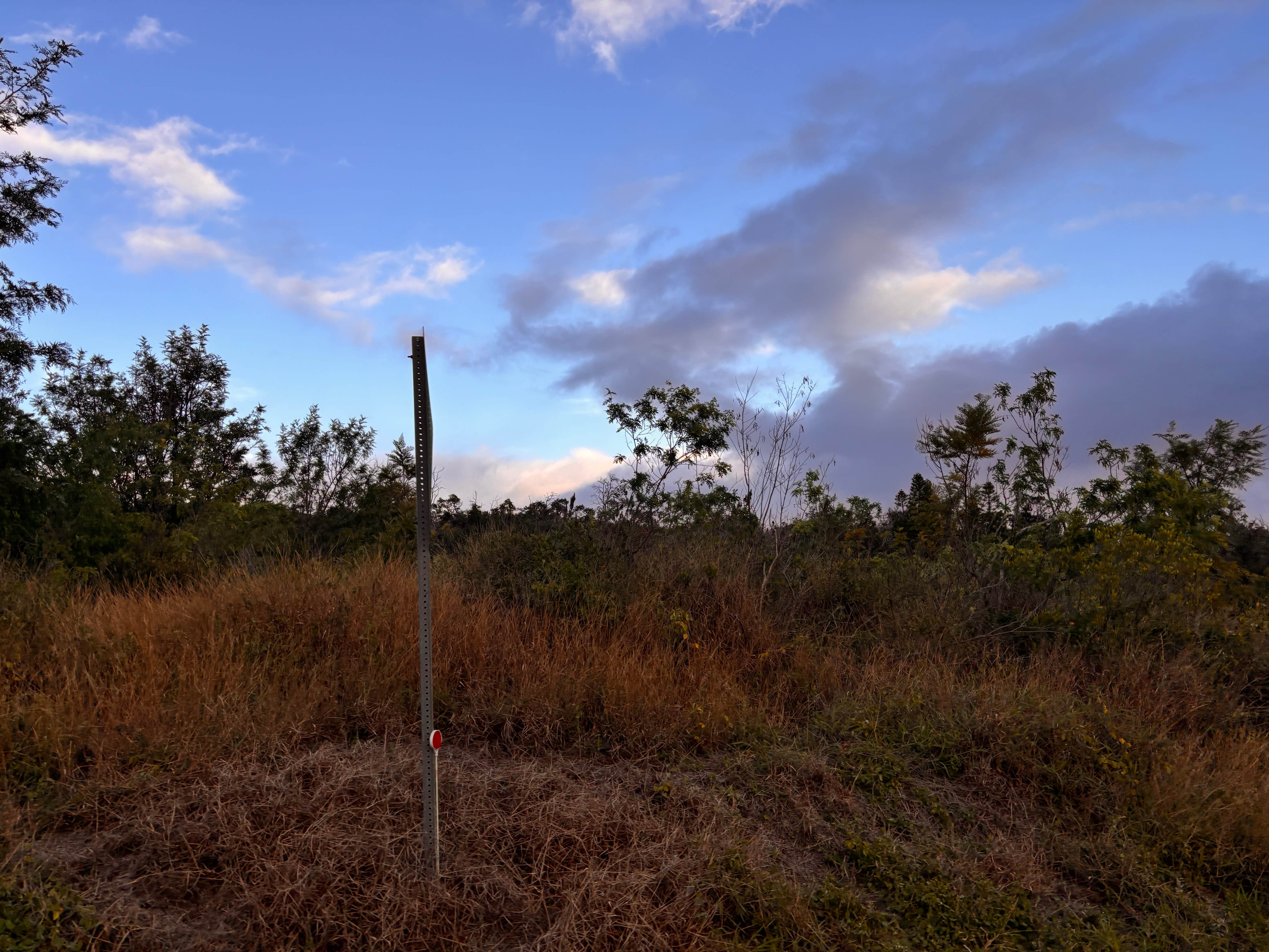 Camping near JoesNuts.com: Cloud Forest Temple, Hawaii Volcanoes National Park, Hawaii