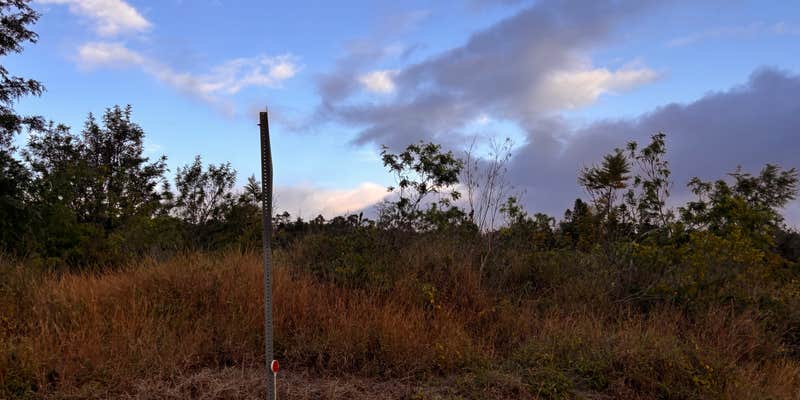 Camper submitted image from Cloud Forest Temple