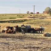 Review photo of Cloud Peak Llama and Alpaca Ranch by Jeff L., October 2, 2024