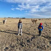 Review photo of Cloud Peak Llama and Alpaca Ranch by Nicholas H., March 31, 2024