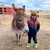 Review photo of Cloud Peak Llama and Alpaca Ranch by Nicholas H., March 31, 2024