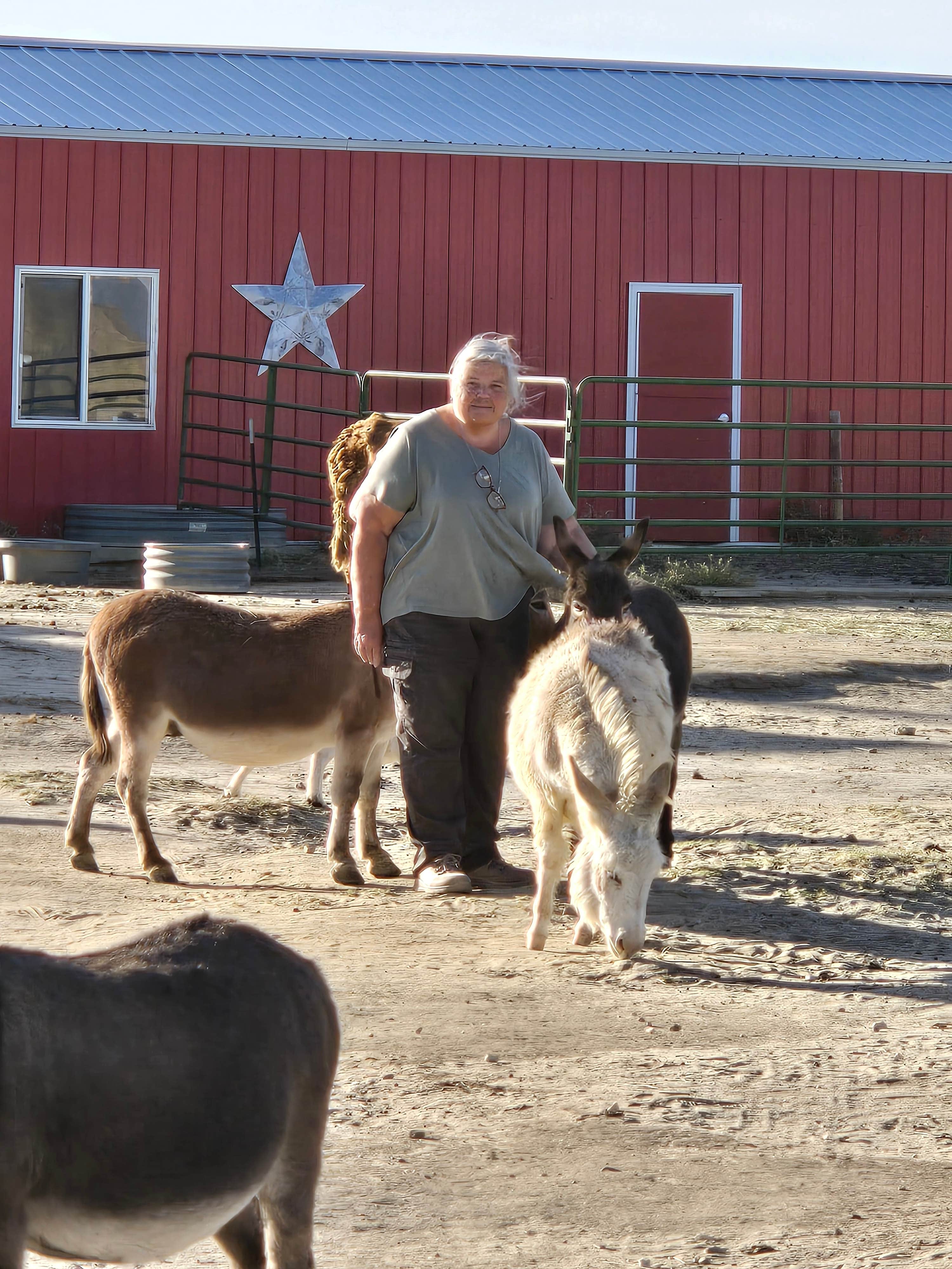 Camper-submitted photo at Cloud Peak Llama and Alpaca Ranch near Alcova, WY