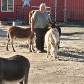 Review photo of Cloud Peak Llama and Alpaca Ranch by Jeff L., October 2, 2024