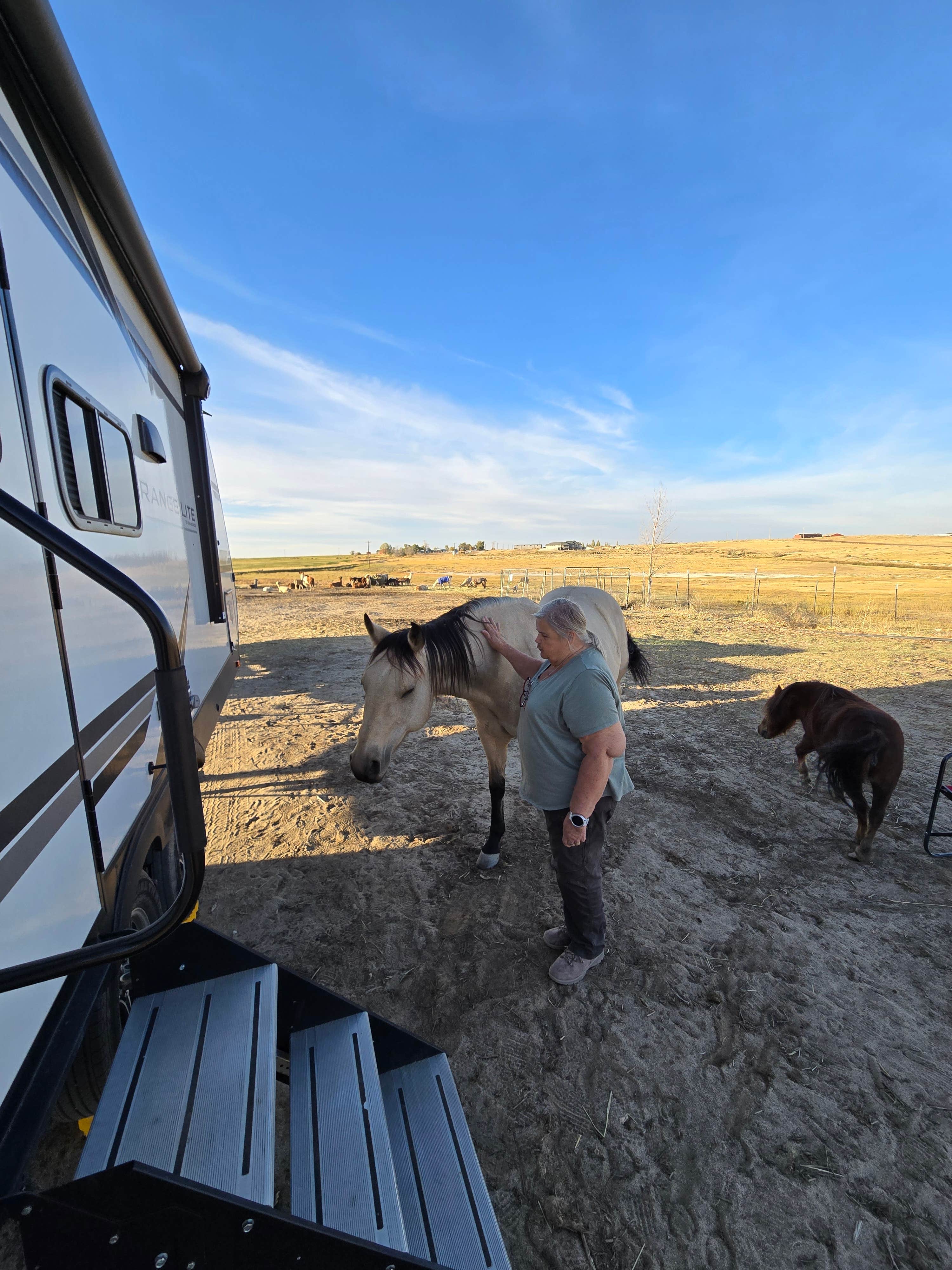 Camper-submitted photo at Cloud Peak Llama and Alpaca Ranch near Alcova, WY