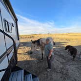 Review photo of Cloud Peak Llama and Alpaca Ranch by Jeff L., October 2, 2024