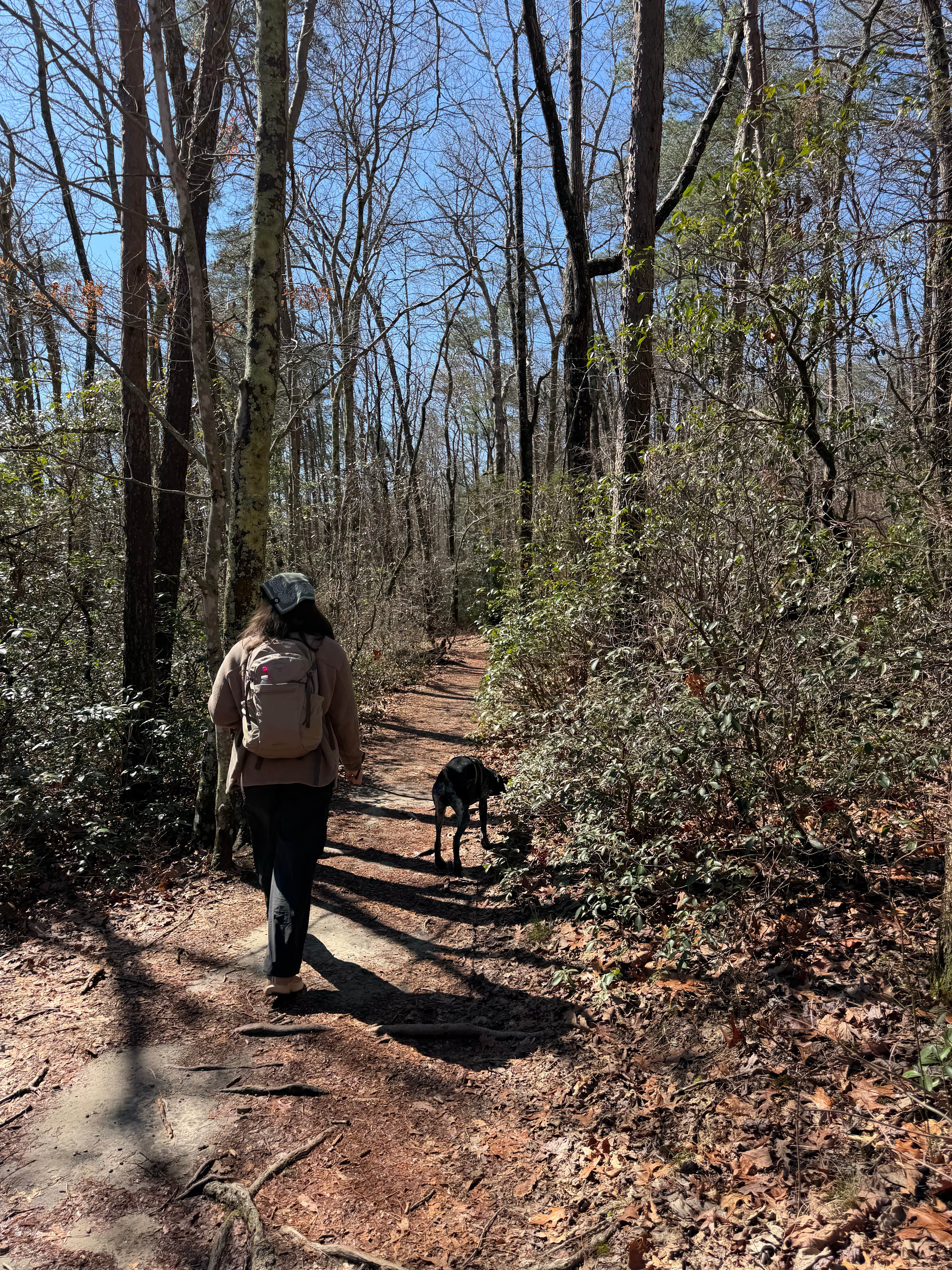 Whitney  W.'s photo of camping with pets at Cloudland Canyon State Park Campground near Rome, GA