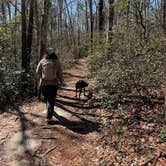 Review photo of Cloudland Canyon State Park Campground by Whitney  W., March 22, 2026