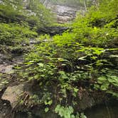 Review photo of Cloudland Canyon State Park Campground by Richard F., July 15, 2025