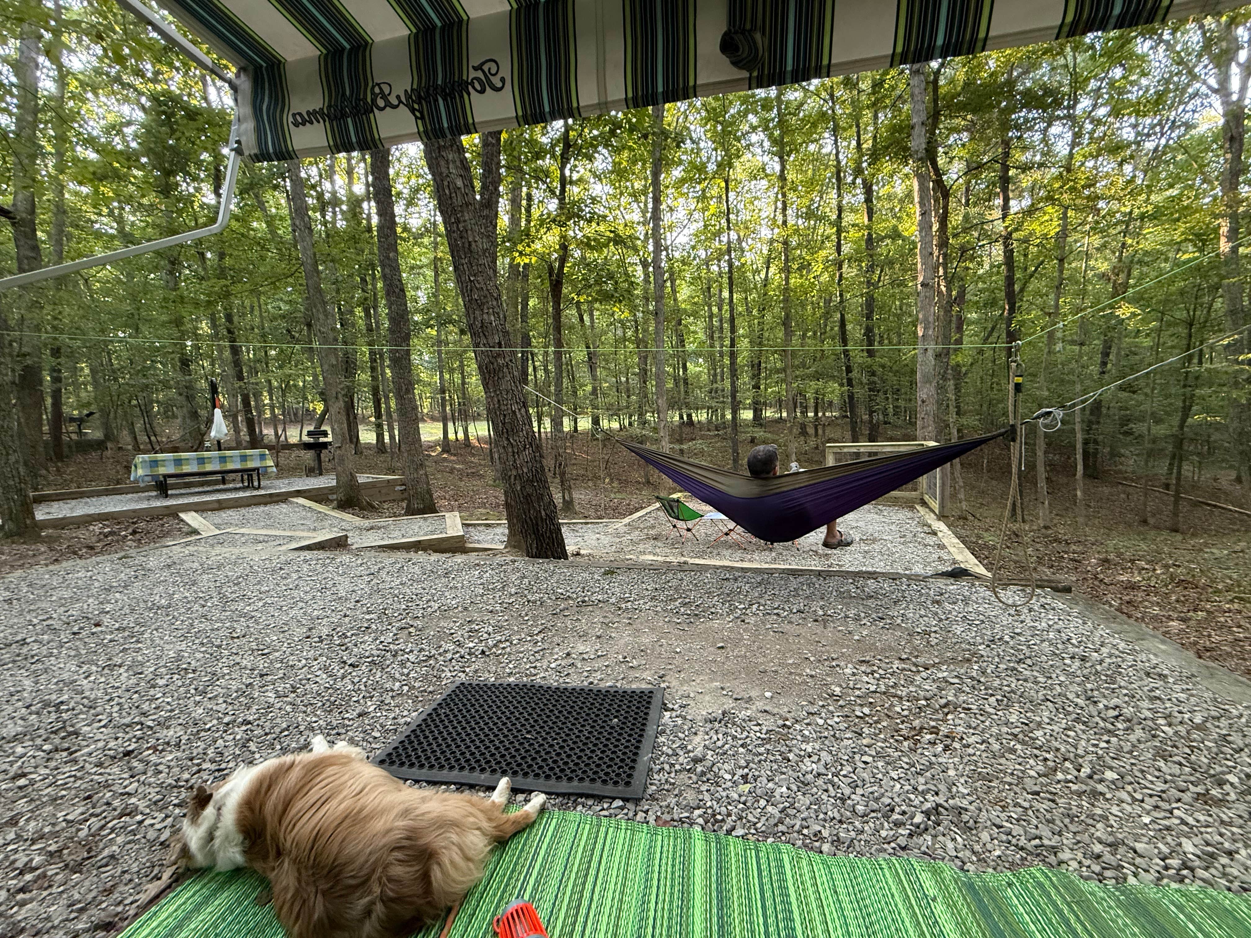 G F.'s photo of camping with pets at Cloudland Canyon State Park Campground near Chickamauga, GA