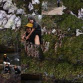 Review photo of Cloudland Canyon State Park Campground by ZITLALITZEL O., December 27, 2025