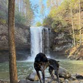 Review photo of Cloudland Canyon State Park Campground by Whitney  W., March 22, 2026