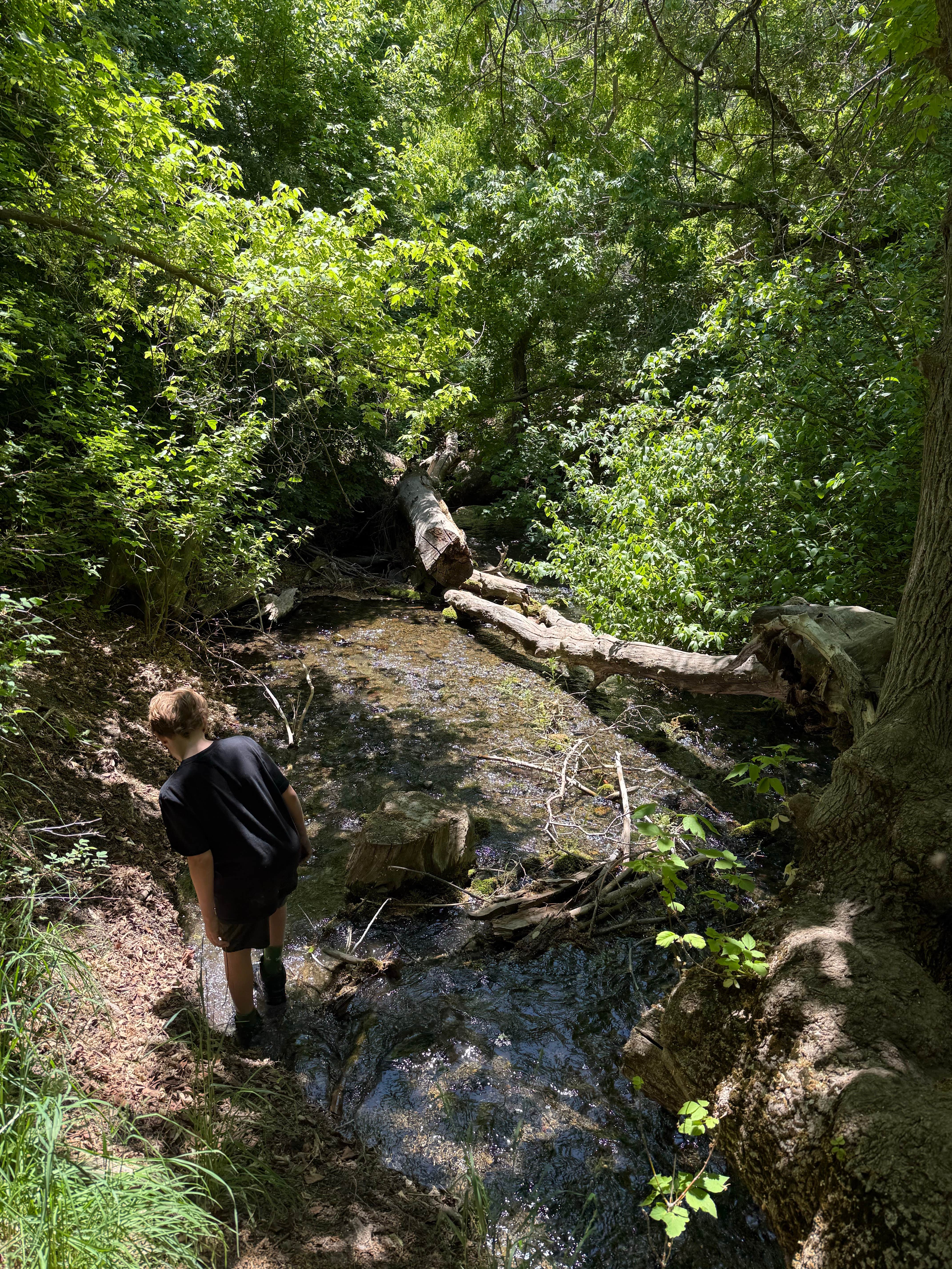 Camper submitted image from Clover Springs Campground — Salt Lake Field Office - 5