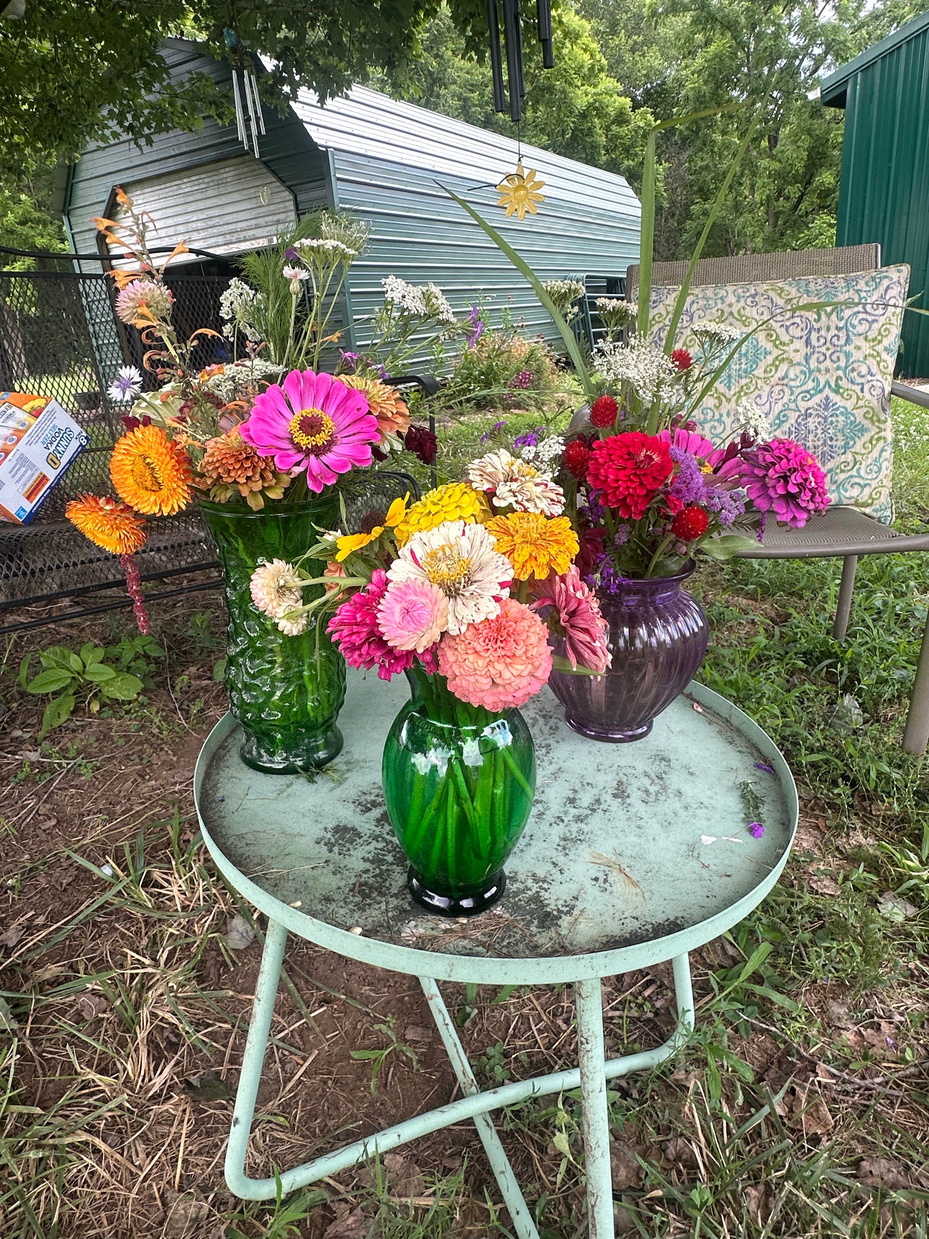 Camper-submitted photo at Cloverdale Farms near Ladysmith, VA
