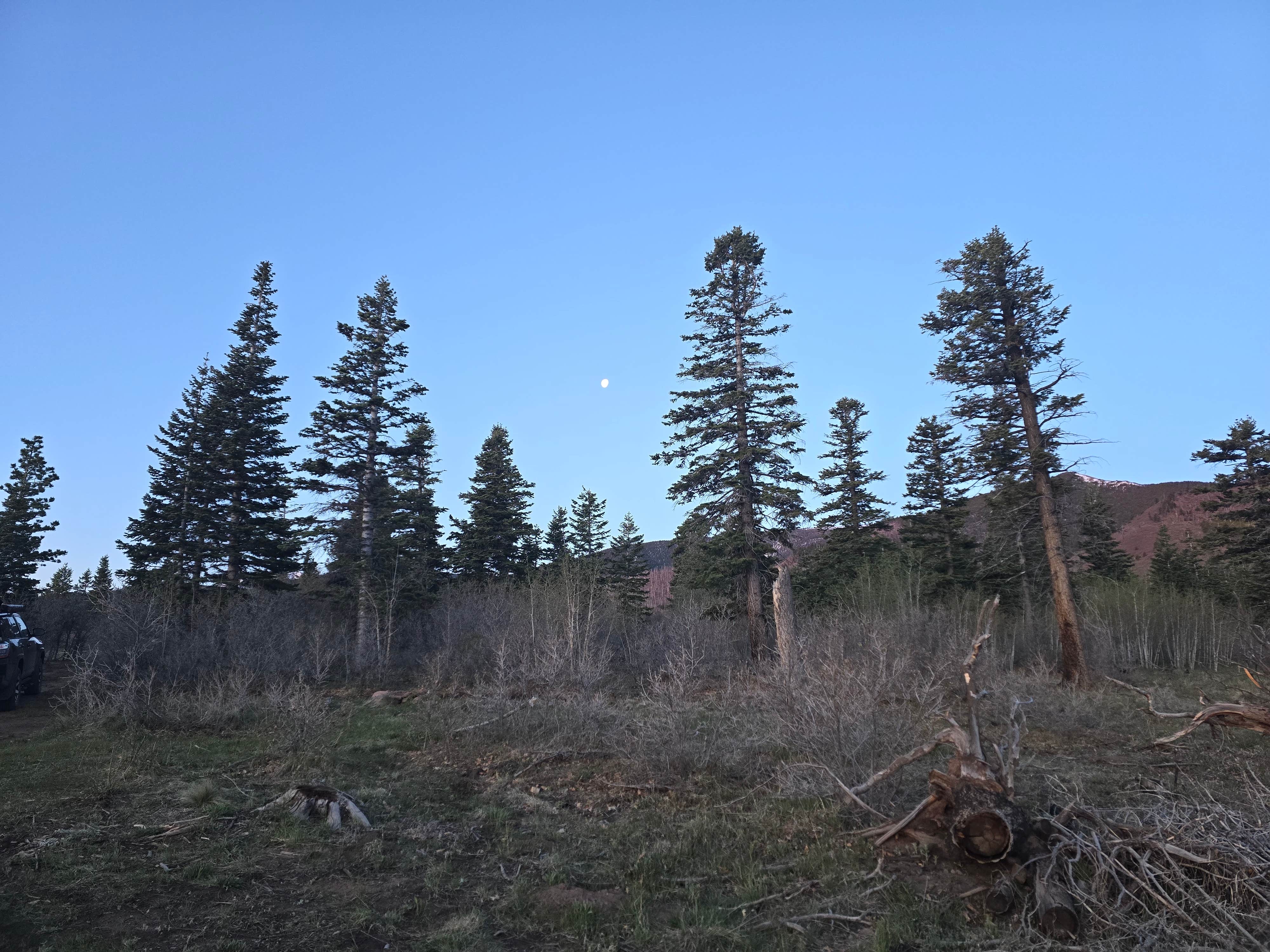 Camper submitted image from Cloverdale Mines Dispersed Area - 2