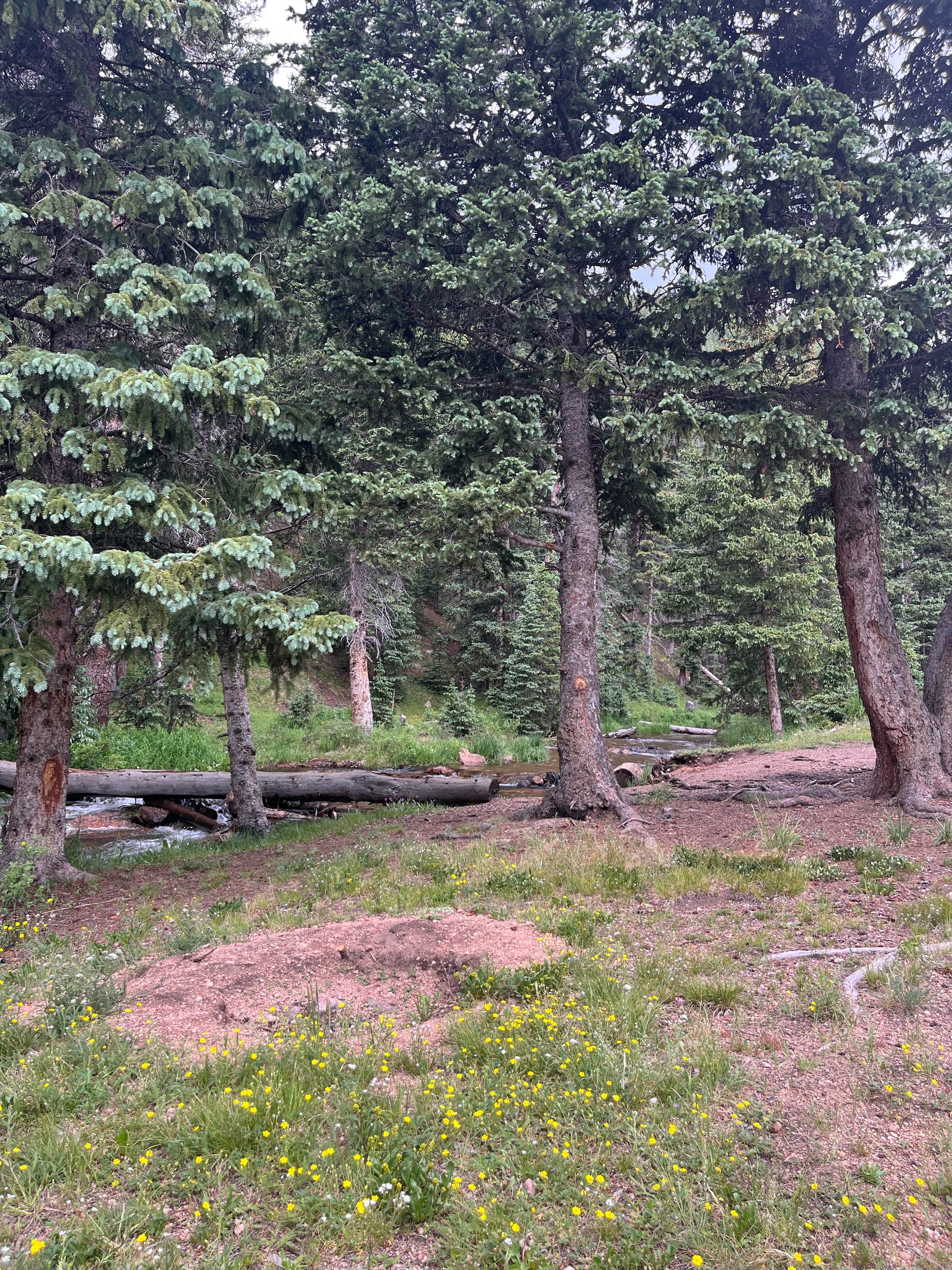 Camper-submitted photo at clyde dispersed camping near Pueblo, CO