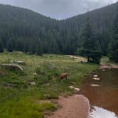 Review photo of clyde dispersed camping by Megan H., July 12, 2025