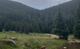 Megan H.'s photo of camping with pets at clyde dispersed camping near Cripple Creek, CO