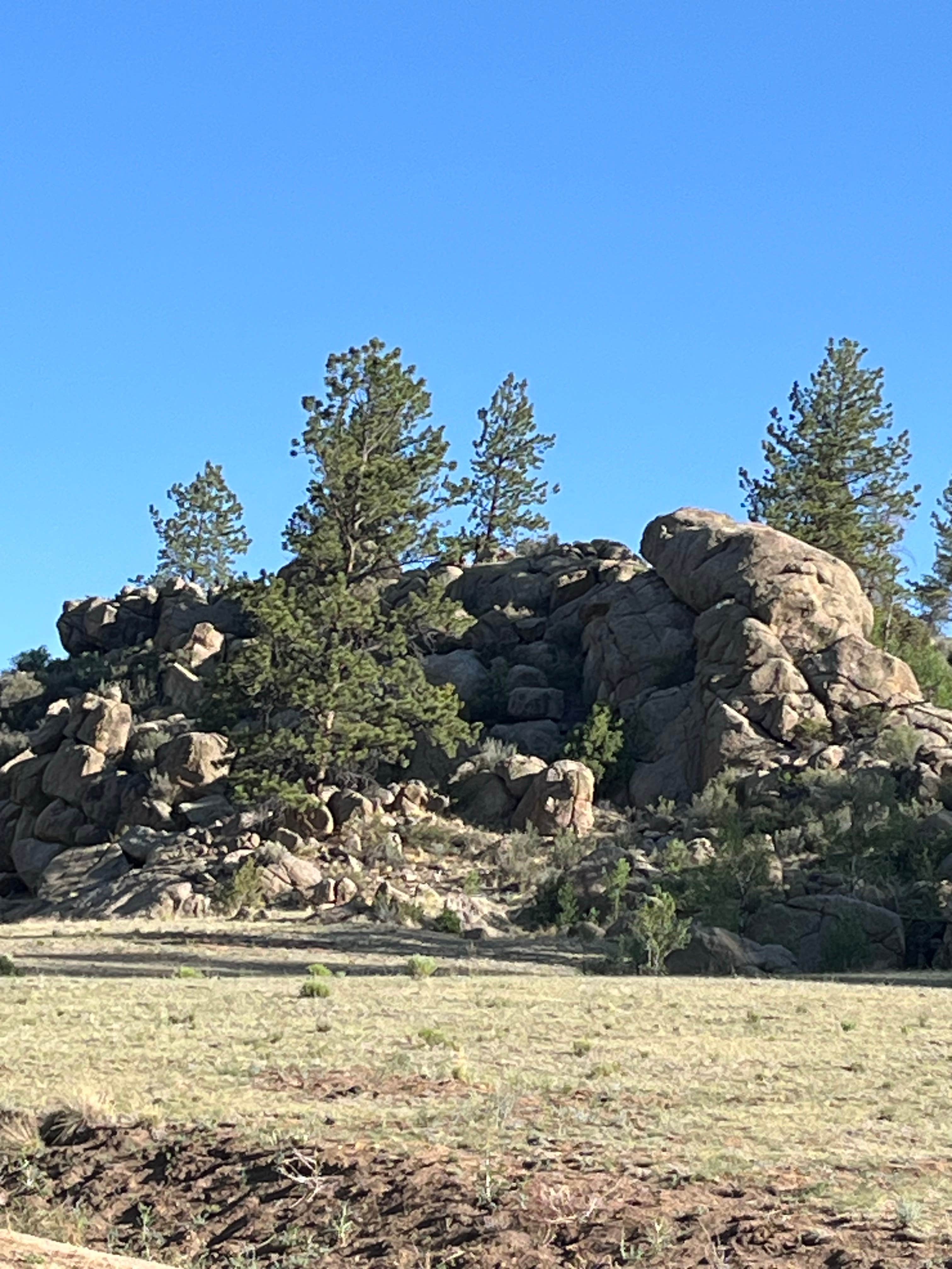 Camper-submitted photo at Co Rd 306 Dispersed Camping near Hartsel, CO