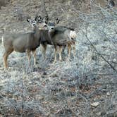 Review photo of Co Rd 306 Dispersed Camping by Justin R., January 19, 2026