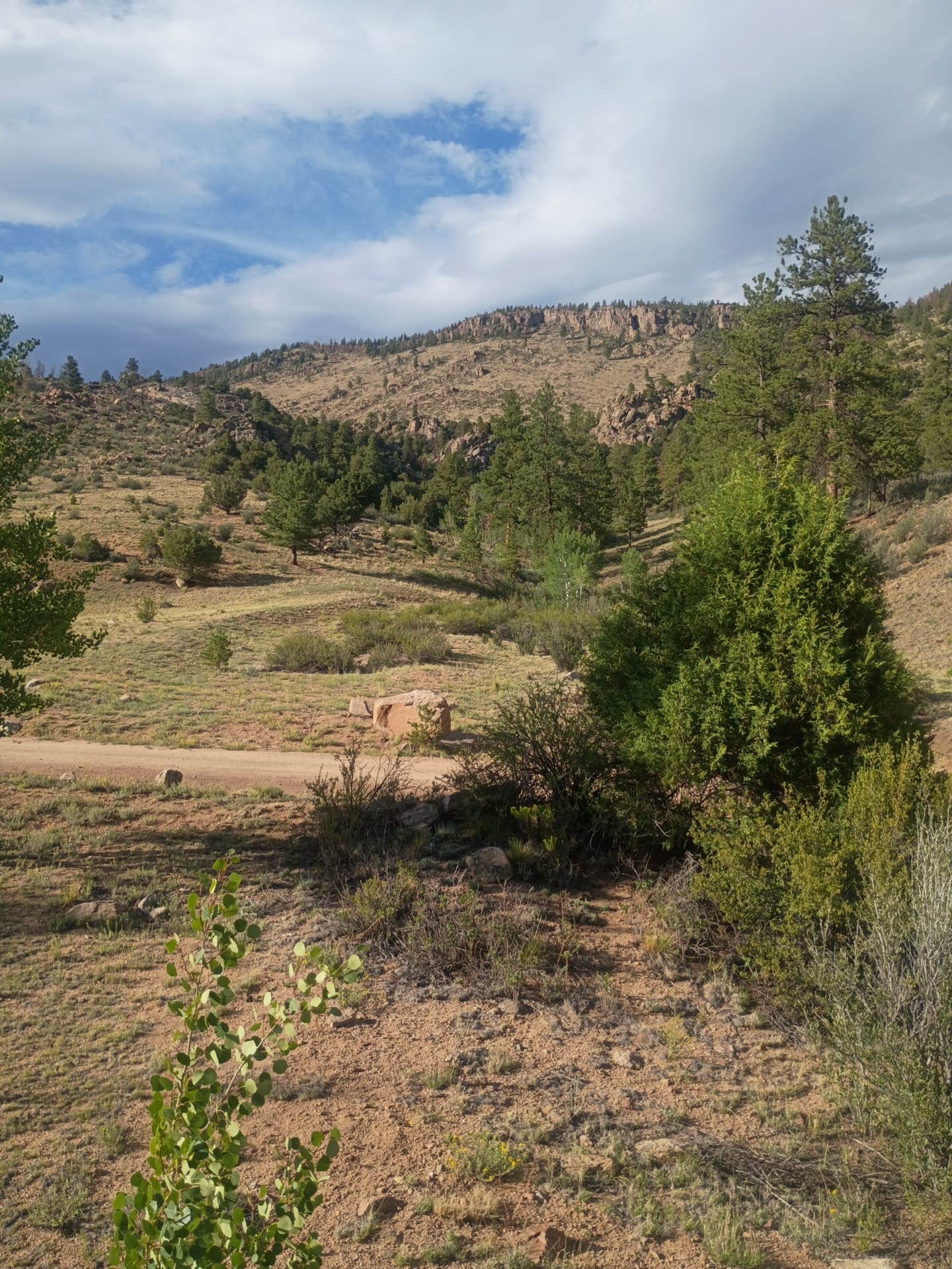 Camper-submitted photo at Co Rd 306 Dispersed Camping near Hartsel, CO