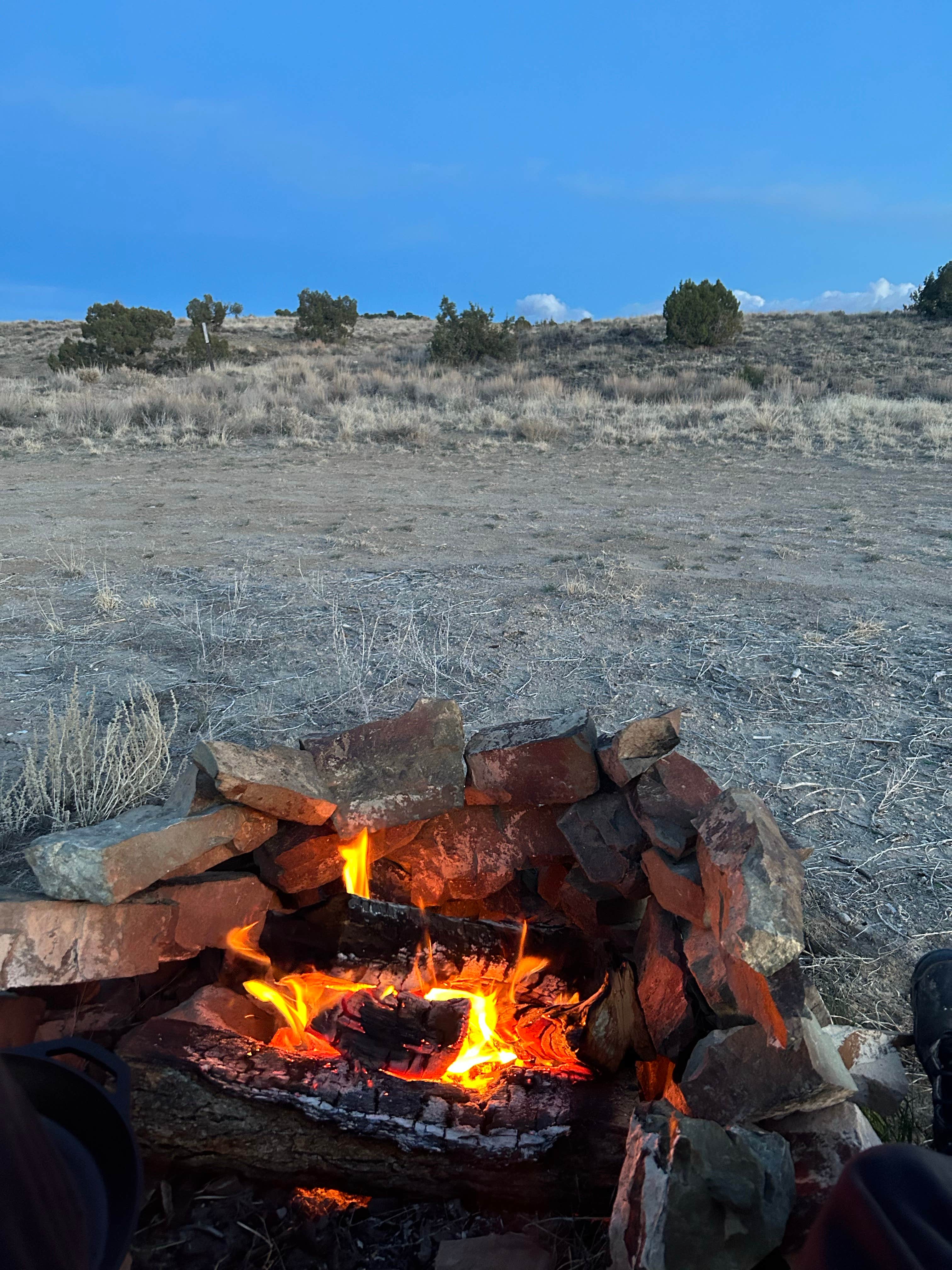Camper submitted image from CO2 Road Dispersed Campsite - 2