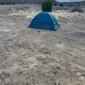 Review photo of CO2 Road Dispersed Campsite by Dylan B., April 20, 2025