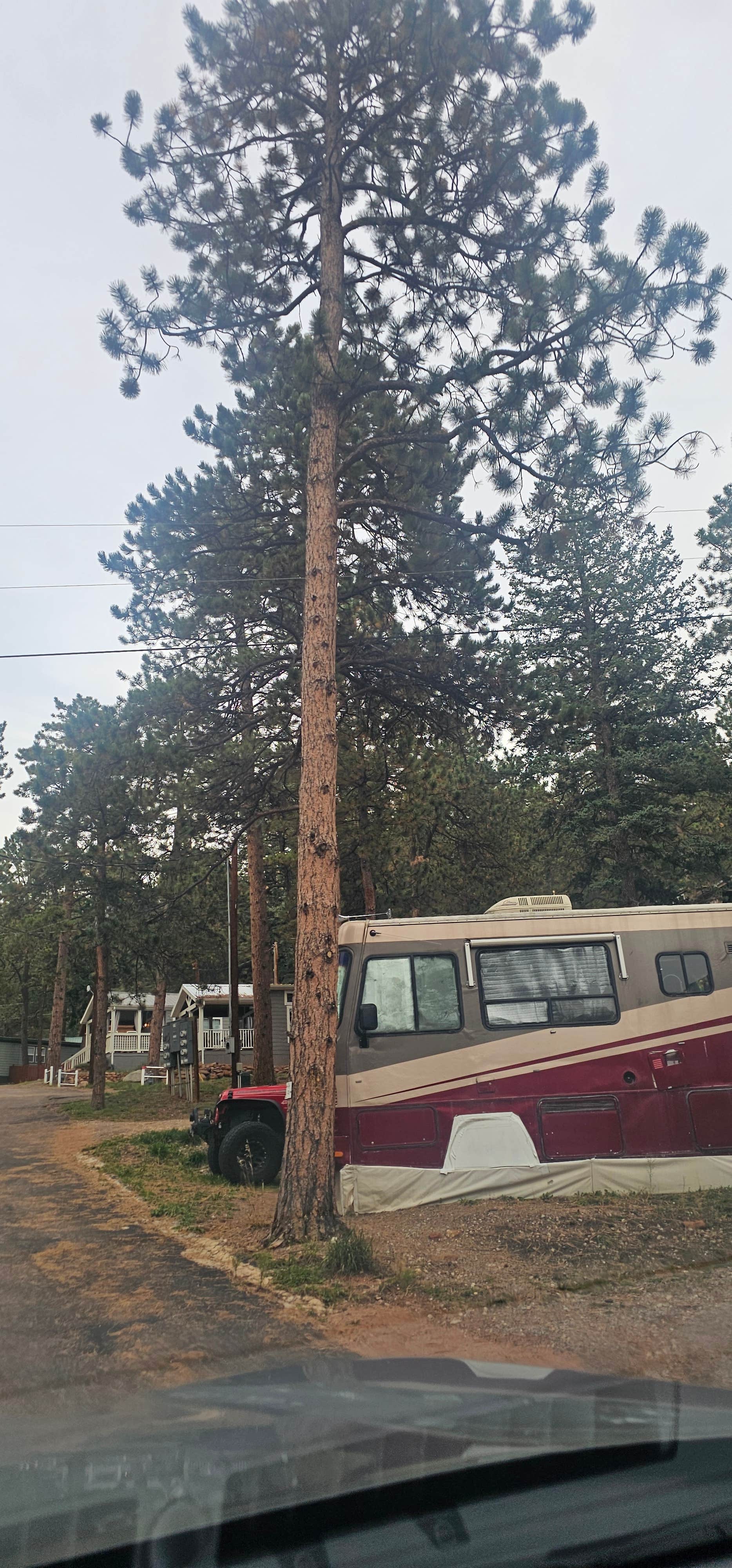 Camping near Woodland RV Park: Coachlight Motel & Campground, Woodland Park, Colorado