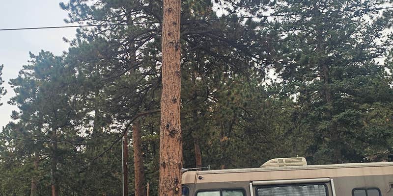 Camper submitted image from Coachlight Motel & Campground