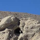 Review photo of Coachwhip Canyon — Anza-Borrego Desert State Park by robert B., October 5, 2025