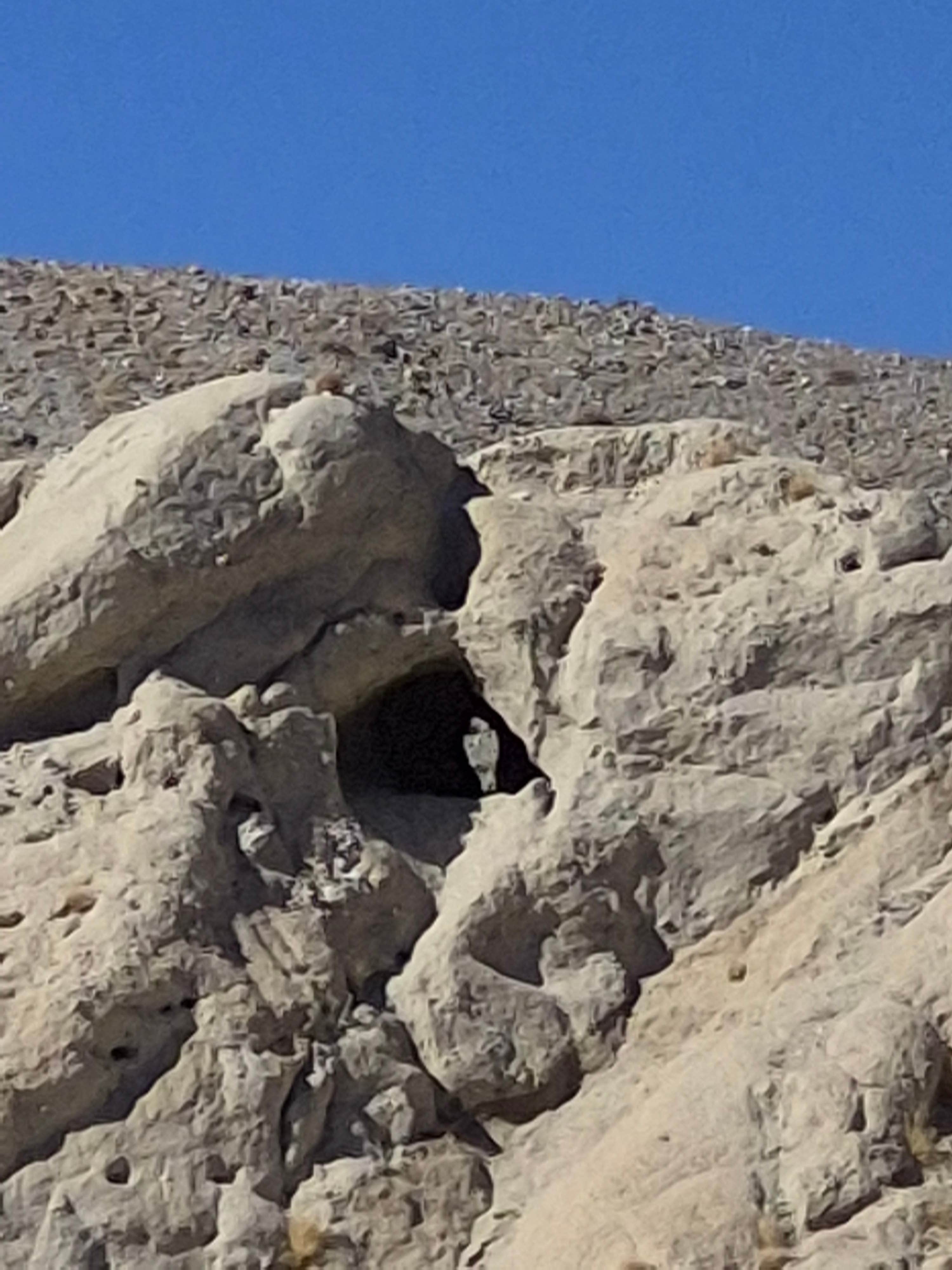 Camper submitted image from Coachwhip Canyon — Anza-Borrego Desert State Park - 1