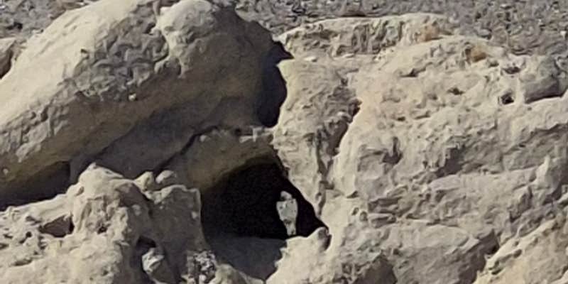 Camper submitted image from Coachwhip Canyon — Anza-Borrego Desert State Park