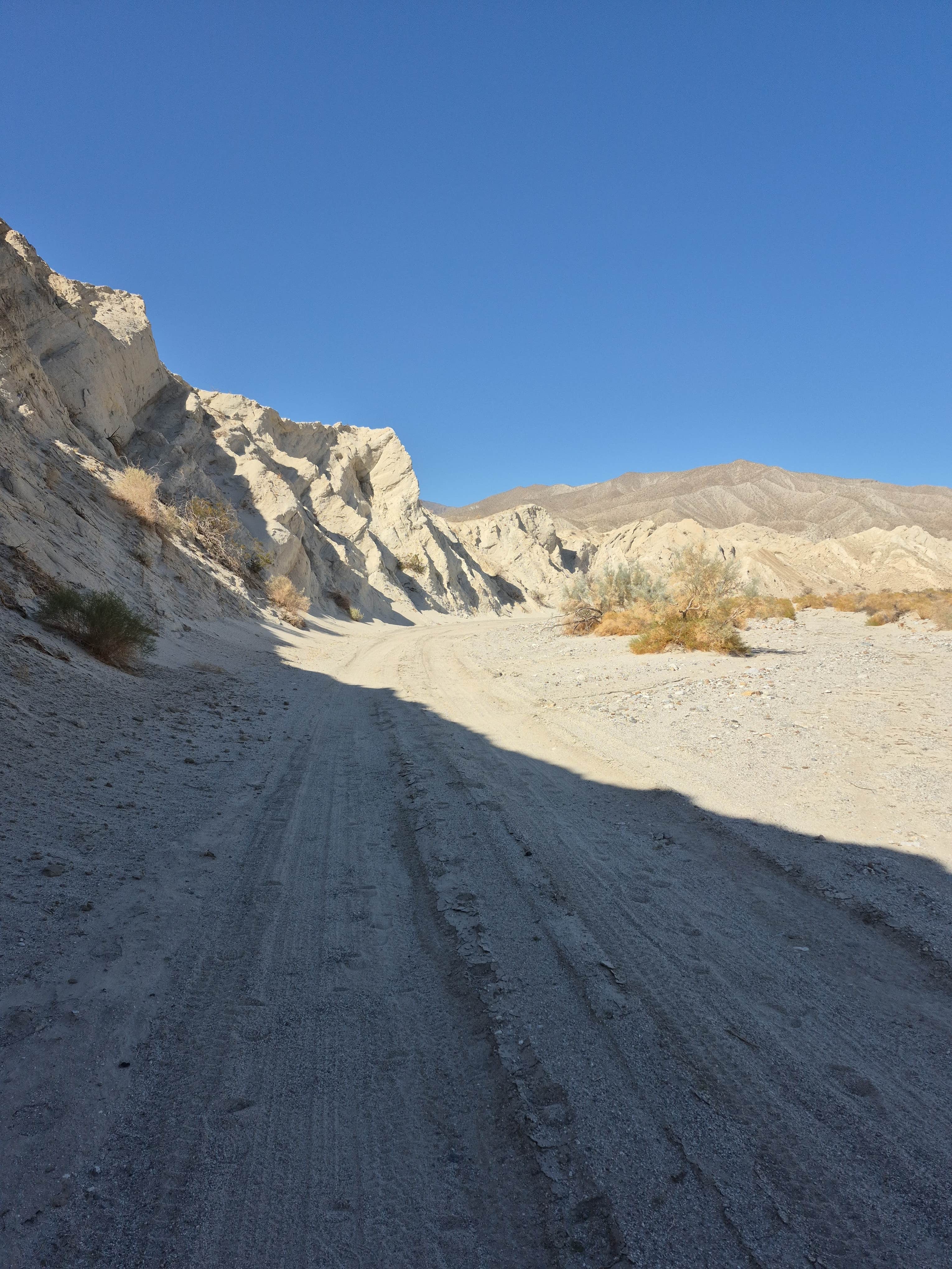 Camper-submitted photo at Coachwhip Canyon — Anza-Borrego Desert State Park near Ocotillo Wells, CA