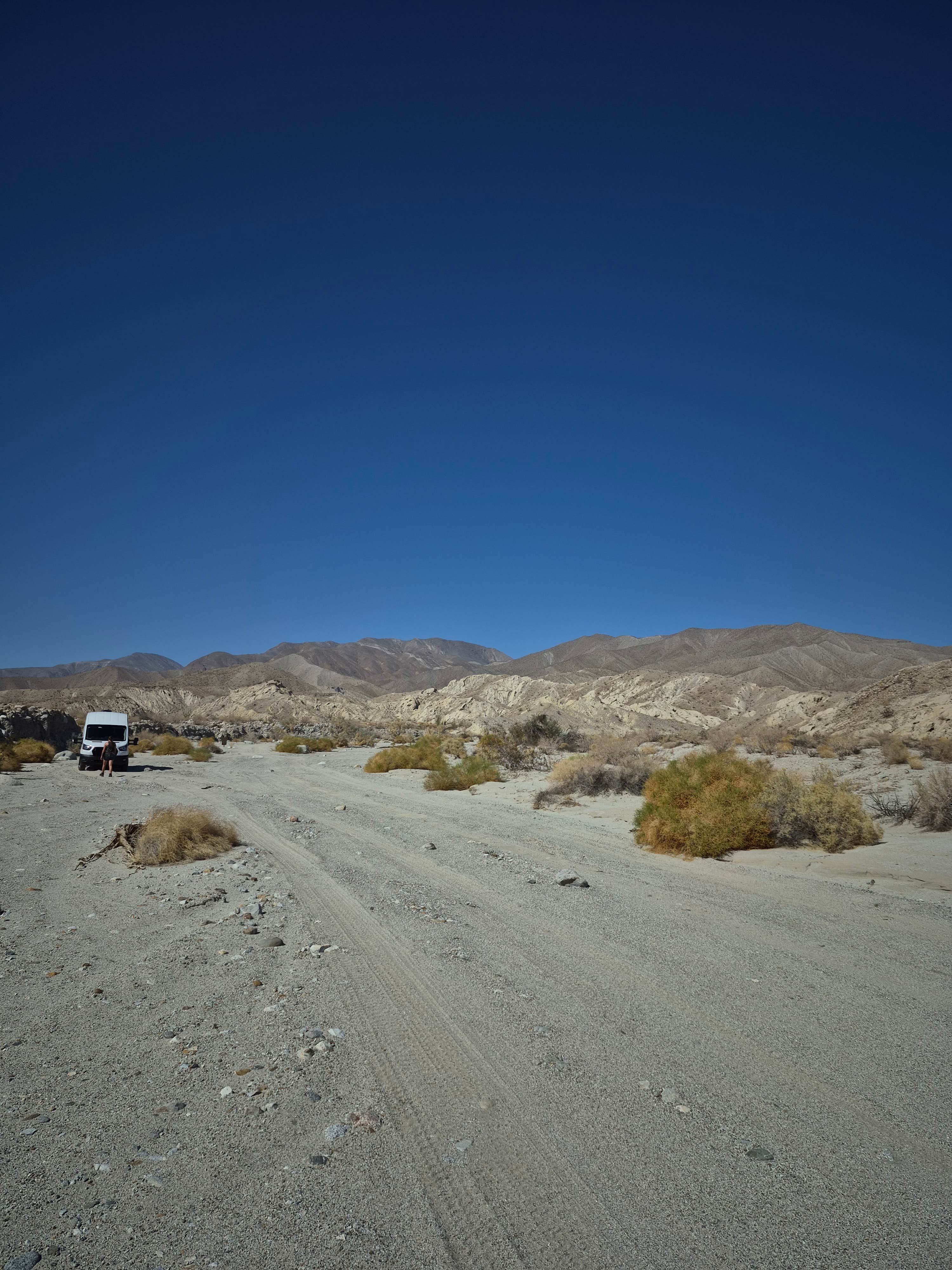 Camper-submitted photo at Coachwhip Canyon — Anza-Borrego Desert State Park near Ocotillo Wells, CA