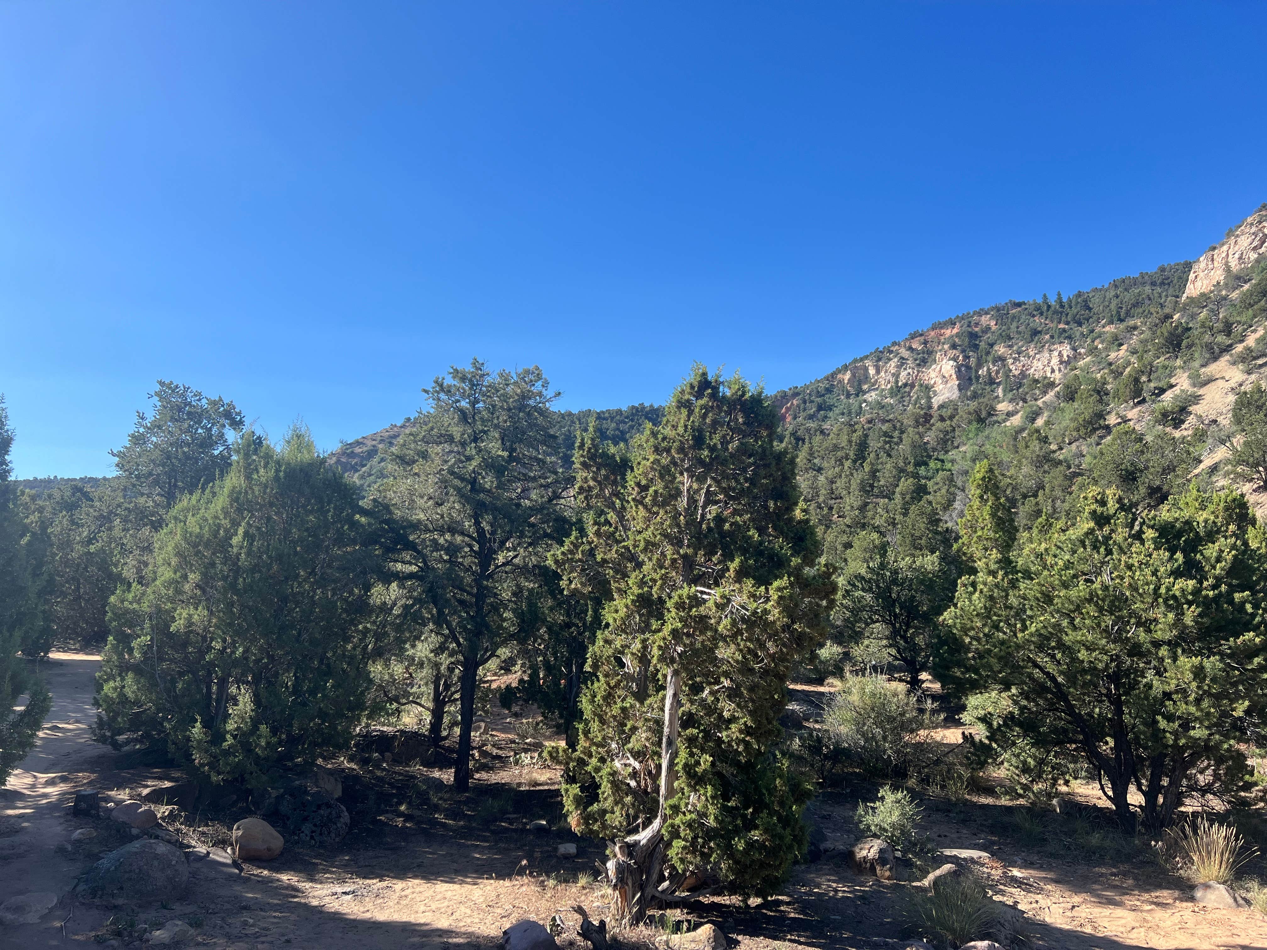 Camper-submitted photo at Coal Creek near Cedar City, UT